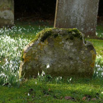 Impression der Schneeglöckchenreise Galanthour von Iris Ney - die Gartenreise in den Frühling nach England