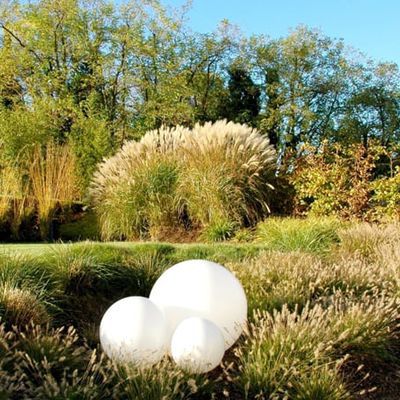 Wie runde Eier in einem Nest wirken diese Moonlight-Lichter in der Fläche aus Pennisetum alopecuroides  'Little Bunny'.