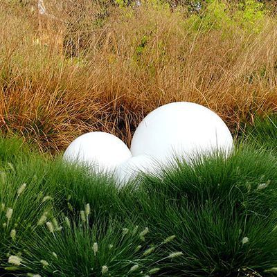 Während sich im August die Deschampsia an diesem sonnigen Standort schon bräunlich färbt, wirkt das Pennisetum alopecuroides 'Little Bunny' fast unverschämt smaragdgrün.