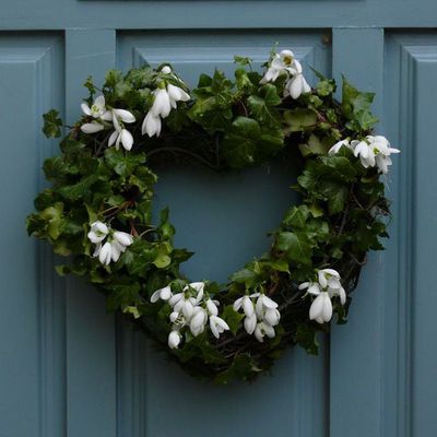 Impression der Schneeglöckchenreise Galanthour von Iris Ney - die Gartenreise in den Frühling nach England