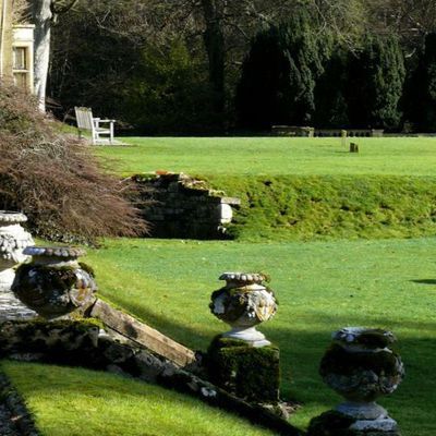 Impression der Schneeglöckchenreise Galanthour von Iris Ney - die Gartenreise in den Frühling nach England