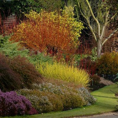 Impression der Schneeglöckchenreise Galanthour von Iris Ney - die Gartenreise in den Frühling nach England