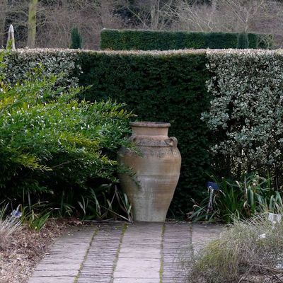 Impression der Schneeglöckchenreise Galanthour von Iris Ney - die Gartenreise in den Frühling nach England