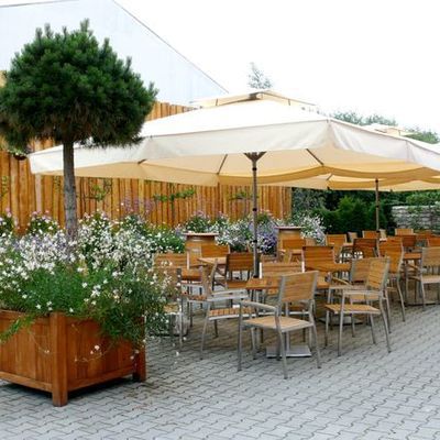 Die Kulisse im bepflanzten Weingarten 'Am Altebach' von Außen betrachtet. Sobald man sich hinsetzt verschwindet das Hallendach und man vergisst das Industriegebiet.