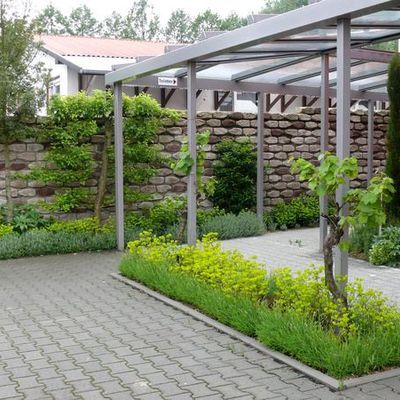 Der Weg zum WC entlang der Weinbar 'Am Altebach' im Frühjahr. Es blühen Euphorbia amygdaloides 'Purpurea' in frischem Gelbgrün. Einige Weinstöcke sollen langfristig zu einem Laubengang erwachsen.