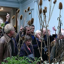 Voting auf der RHS Spring Show: Hier wird geade über die Prämierung der Präsentationsstände abgestimmt.