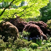 Impressionen von meiner Gartenreise INS BLAUE nach Schottland 2015.