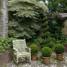 Im farbenfroh gestalteten Bosvigo Garden, Cornwall, ist dieser Innenhof in seinen Silber- und Grüntönen eine Erholung für Auge und Geist. Der Teak-Sessel ist mit üppigen Bartflechten überhangen - wer hier rastet ist nie gewiss, dass er nicht in einen Dornröschenschlaf verzaubert wird.