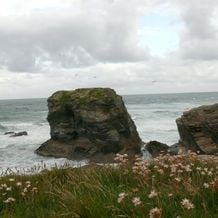 Cornwall hat auch im Sommer besonderen Charme. Hier wächst alles und wenn einem die Üppigkeit Cornischer Gärten zu Kopf schlägt  so kann man bei einem Spaziergang an der Küste wieder zu Ruhe kommen.