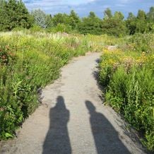 Bekanntlich führen viele Wege zum Ziel. Jedoch ist es wichtig, dass ich IHREN Weg wähle und in IHRE Richtung blicke.