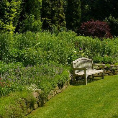 Dieses im Vorjahr prächtige Staudenbeet war durch das einjährige Berufkraut Erigeron annuus so verunkrautet, dass spät austreibende Stauden überwuchert wurden und dadurch abstarben. Strukturen im Beet waren durch das hohe Unkraut nicht mehr zu erkennen.