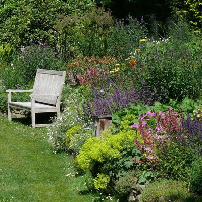 Im Vorjahr blühte das nach Kundenwunsch bunt und mit kräftigen Farben angelegte Staudenbeet üppig. Wegen der trockenen Südhanglage mit wasserziehenden Großgehölzen im Hintergrund bepflanzte ich mit trockenverträglichen Stauden.