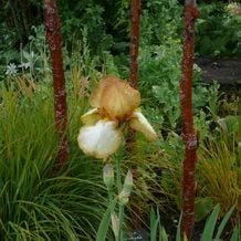 Impressionen von meiner Gartenreise INS BLAUE nach Schottland 2015.