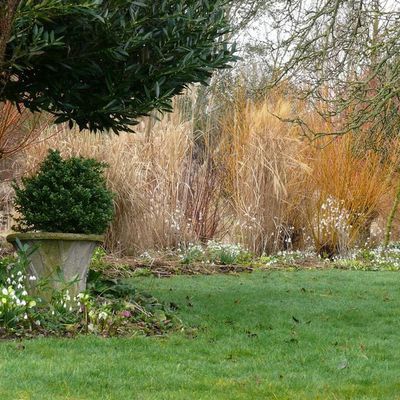 Impression der Schneeglöckchenreise Galanthour von Iris Ney - die Gartenreise in den Frühling nach England