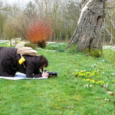 Impression der Schneeglöckchenreise Galanthour von Iris Ney - die Gartenreise in den Frühling nach England