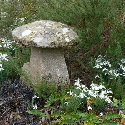 Impression der Schneeglöckchenreise Galanthour von Iris Ney - die Gartenreise in den Frühling nach England