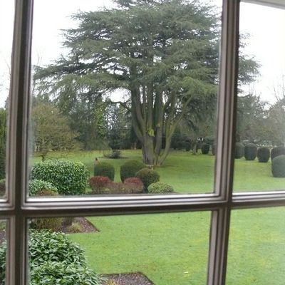 Impression der Schneeglöckchenreise Galanthour von Iris Ney - die Gartenreise in den Frühling nach England