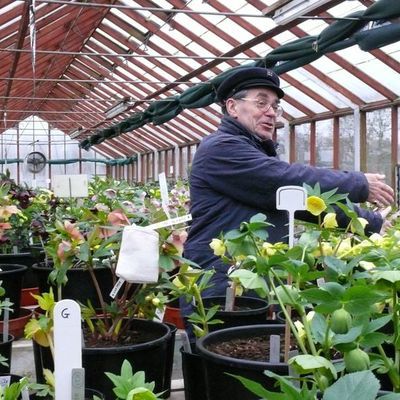 Impression der Schneeglöckchenreise Galanthour von Iris Ney - die Gartenreise in den Frühling nach England