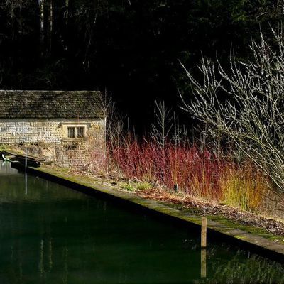 Impression der Schneeglöckchenreise Galanthour von Iris Ney - die Gartenreise in den Frühling nach England