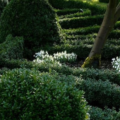 Impression der Schneeglöckchenreise Galanthour von Iris Ney - die Gartenreise in den Frühling nach England