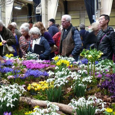 Impression der Schneeglöckchenreise Galanthour von Iris Ney - die Gartenreise in den Frühling nach England