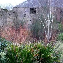 Impression zur Gartenreise Galanthour von Iris Ney - DIE Gartenreise in den Vor-Frühling nach England. Hier Impressionen eines winterlichen Gartens in Schottland.