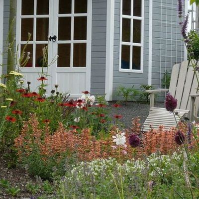 Am neuen Sitzplatz gibt es viel zu beobachten. Zahlreiche Insekten besuchen die nektar- und pollenreichen Stauden, die gerade in der späteren Jahreszeit überlebenswichtig sind.