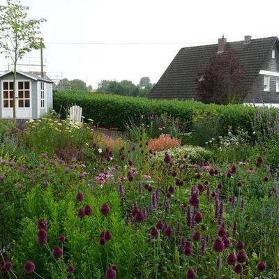 Der neue Sitzplatz am Gartenende wird bald von einer Silberlinde Tilia tomentosa beschattet werden. Bei Sturm wird deren Blattunterseite hell aufleuchten und gegen Mitte des Sommers werden ihre Blüten eine wichtige Nektarquelle für Bienen sein.