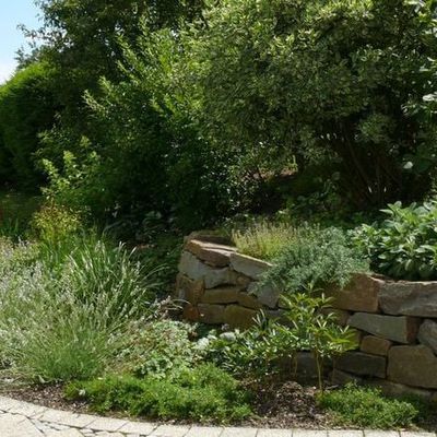 Direkt an der Terrasse entsteht viel Strahlungswärme, zudem sind Beetteile sehr trocken durch dahinterliegende Sträucher und die Hanglage. Hier bot sich die Pflanzung mediterraner Gewürze an wie Lavendel, Salbei, Bohnenkräuter, Ysop etc.