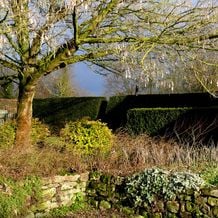 Impression der Schneeglöckchenreise Galanthour - DIE Gartenreise in den Vor-Frühling nach England. Neben diversen Frühlingsblühern, (buntlaubigen) Immergrünen und winter-prächtigen Gehölzen gehören virtuos gepflegte Hecken und kunstfertige Trockenmauern zum Guten Ton in Englischen Gärten.