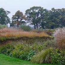 Impressionen zur besonderen Gartenreise OKTOBERLODERN nach England: Prärie in England nach Niederländischem Vorbild - wogende Gräser und Staudenflächen umrandet von alt-ehrwürdigen Eichen. Ein weitläufiges Erlebnis in Sussex Prairie Gardens.