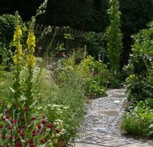 Diesen Weg aus verschiedenen Natursteinen habe ich als wilden Verband durch ein wildes Beet mit verschiedenen Stauden gelegt. Die natürliche, bewegte Pflanzung wird durch den bunt gewürfelten Naturstein lebhaft unterstrichen.